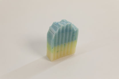 Nourish-d "CLEANSE-D" – Nourishing Tallow Shampoo Bar for Healthy Hair - Peppermint / Tea Tree